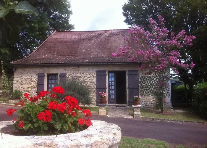 Cottage Poppy